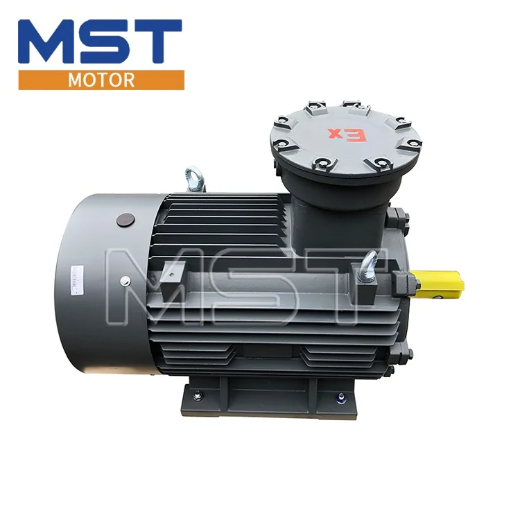 YBX3 Alçak Gerilim Ex-Proof Motor