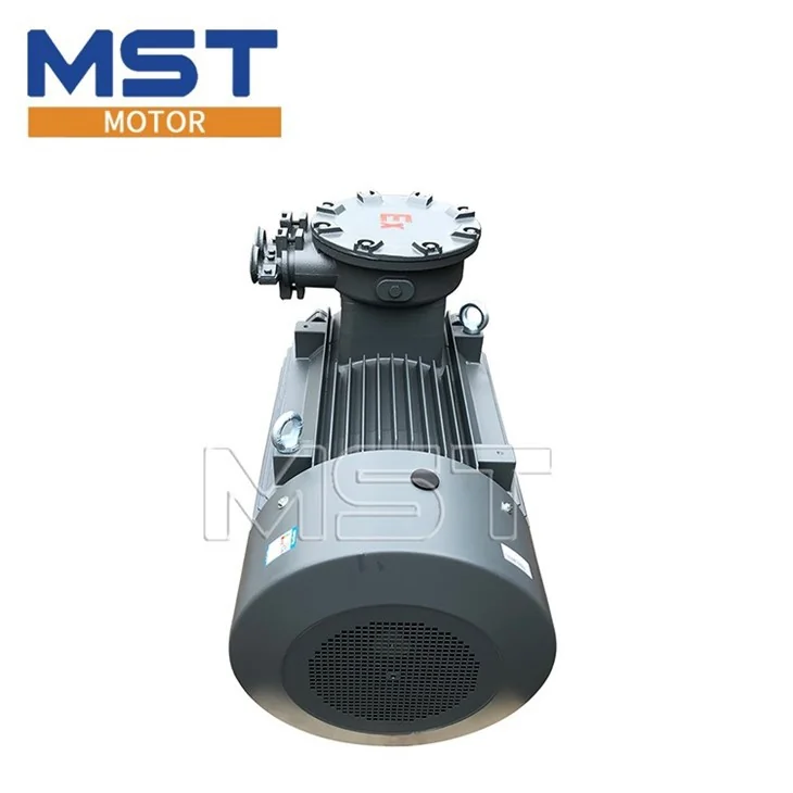 YBX3 Alçak Gerilim Ex-Proof Motor