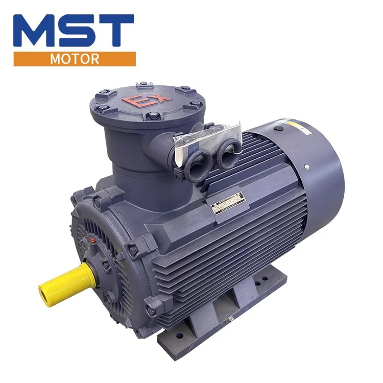 Flameproof Squirrel-Cage Motor