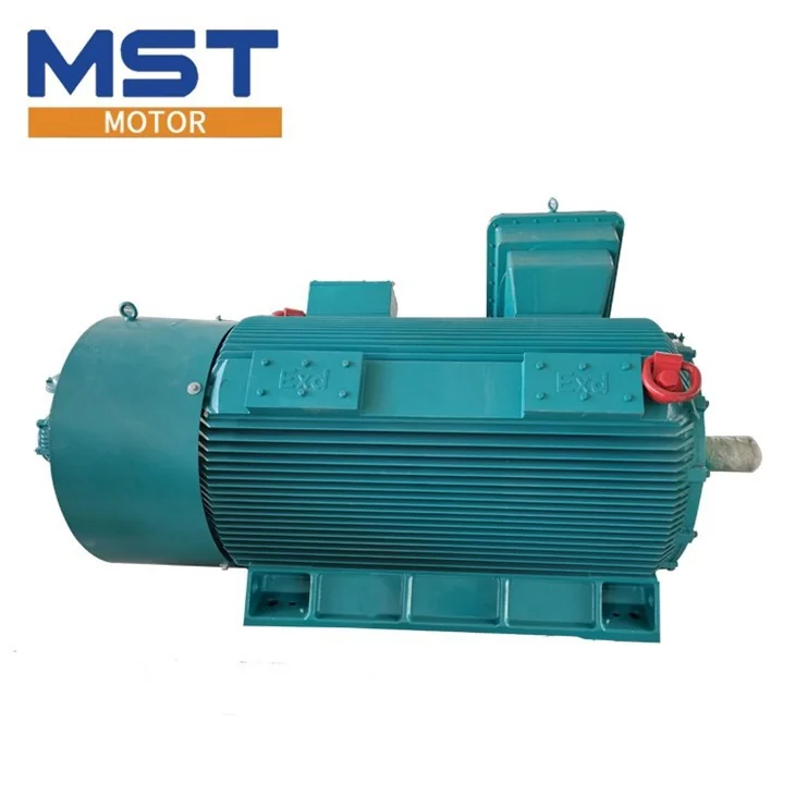 Flameproof Squirrel-Cage Motor