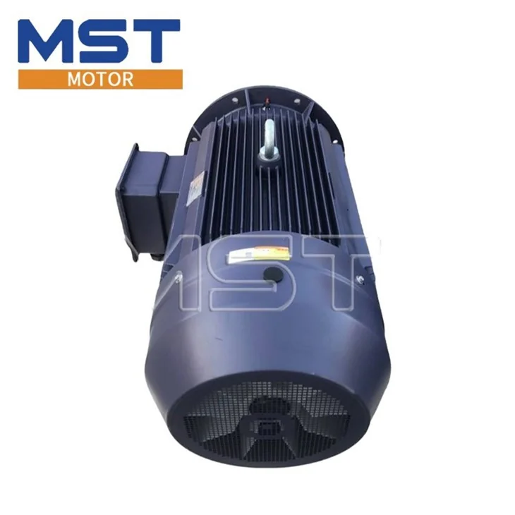 Three-Phase Asynchronous Motor (YE3)