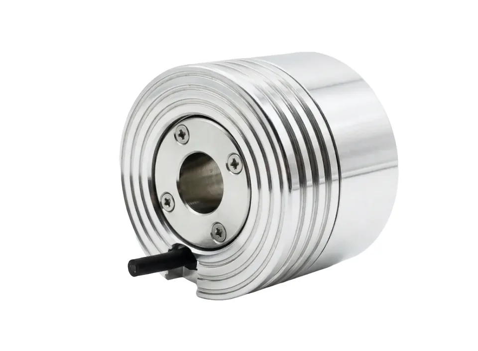 TS58HS Motor Tipi Delik Milli Enkoder Ø58 mm